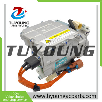 Auto AC Compressor for BYD Qin HAC-8103010 HAC8103010