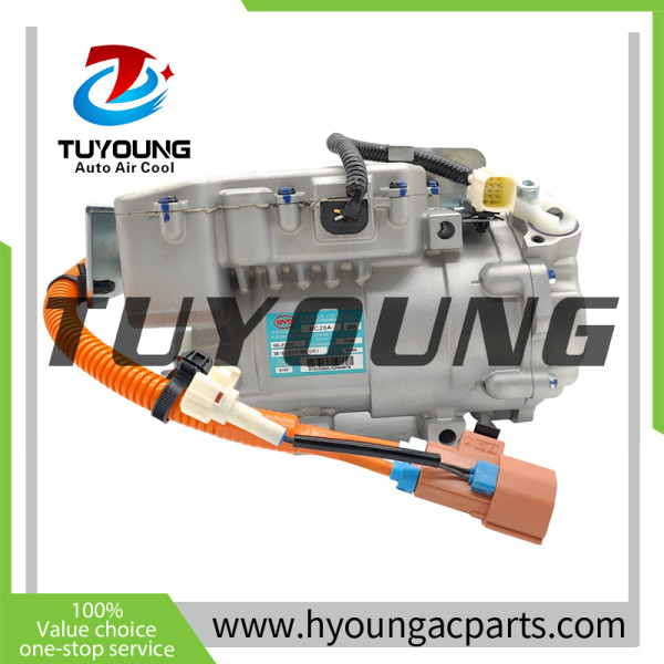 Auto AC Compressor for BYD Qin HAC-8103010 HAC8103010
