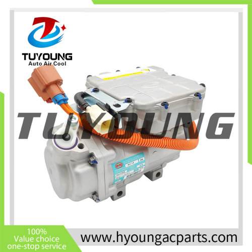 Auto AC Compressor  for BYD E5 Qin EV 16-18  HAEV-8103020A