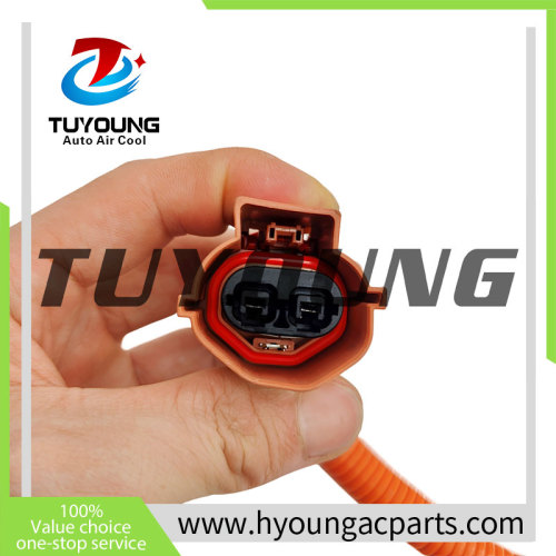 Auto AC Compressor  for BYD E5 Qin EV 16-18  HAEV-8103020A