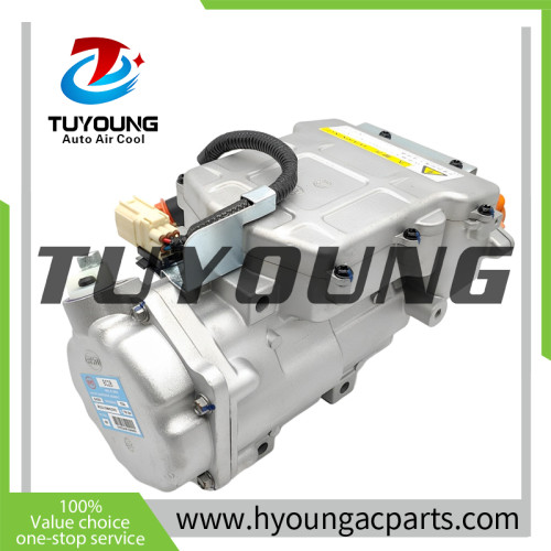 Auto AC Compressor for BYD Qin HAC-8103010 HAC8103010