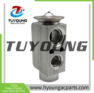 Auto a/c expansion valve BMW E46 3 Series E83 X3 '03- 64116904437 64116981100 31-30970 64118381304 64118381504 64119135745 64503452759