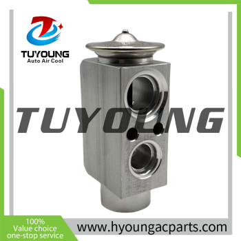 Auto a/c expansion valve BMW E46 3 Series E83 X3 '03- 64116904437 64116981100 31-30970 64118381304 64118381504 64119135745 64503452759