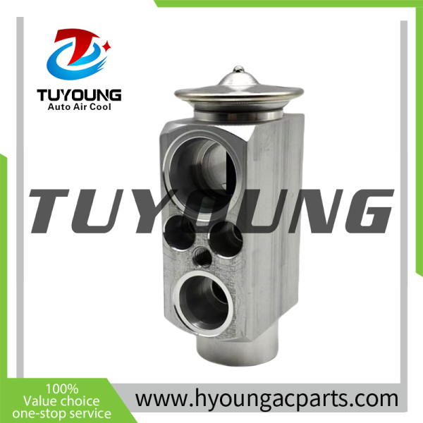 Auto a/c expansion valve BMW E46 3 Series E83 X3 '03- 64116904437 64116981100 31-30970 64118381304 64118381504 64119135745 64503452759