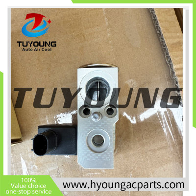 TBF-LS02D  329559K A2228300584   Auto Air Conditioning Expansion Valve for MERCEDES-BENZ W222 S-CLASS