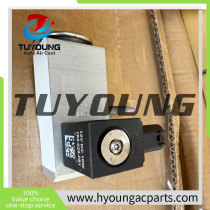 TBF-LS02D 329559K A2228300584 Auto Air Conditioning Expansion Valve MERCEDES-BENZ W222 S-CLASS TBF-LS02D  329559K