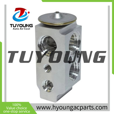 976044H000 97604-4H000 Auto Air Conditioning Expansion Valve for HYUNDAI H-1