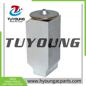 976044H000 97604-4H000 Auto Air Conditioning Expansion Valve for HYUNDAI H-1
