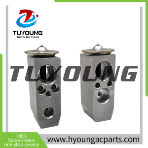 Auto Air Conditioning Expansion Valve for Changan Cargivan