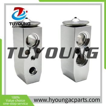 TUYOUNG brand new VOLVO excavator truck auto ac Expansion valve 14509331 VOE14509331