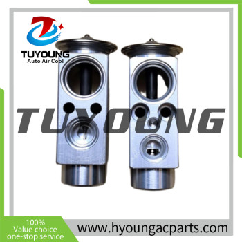 Scania Auto Air Conditioning Expansion Valve