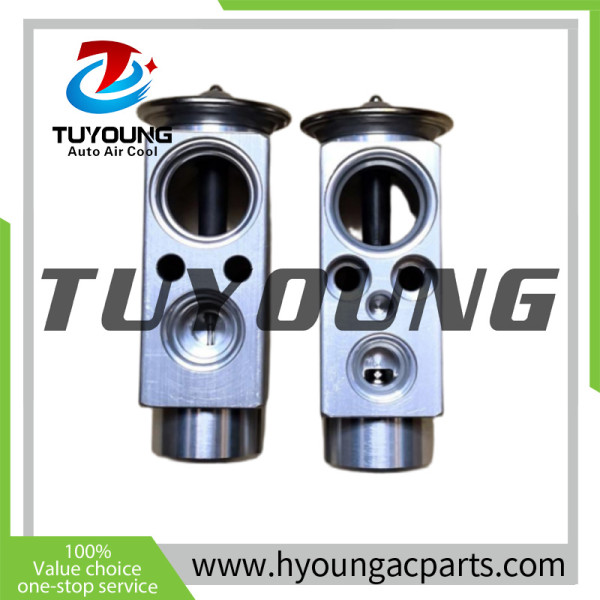 Scania Auto Air Conditioning Expansion Valve