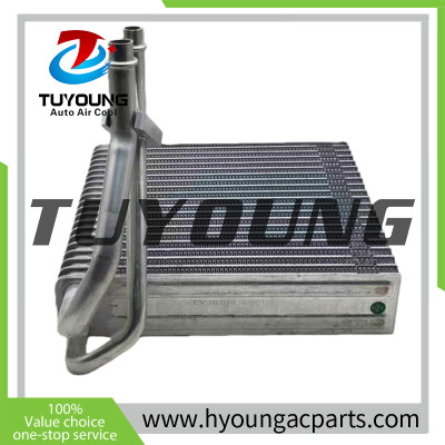 LHD Peugeot 207 2007 ac Evaporators Citroen C3 668974k N668973 N668973N495 6461K6 668974K 522947 size 205*225*48mm