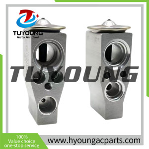 LHD Automotive ac evaporator with expansion valve fit Audi VW golf Passat 5Q1816100A 5Q1820102A 5Q1820102B 5Q1820102D