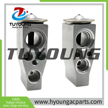 LHD Automotive ac evaporator with expansion valve fit Audi VW golf Passat 5Q1816100A 5Q1820102A 5Q1820102B 5Q1820102D