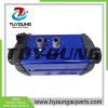 TUYOUNG provide auto a/c system Parking Heater With intelligent start-stop 5KW Diesel oil 12V/24V