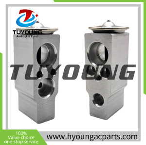tuyoung Auto ac expansion valve Honda 80220T5A003 80220-T5A-003  80220 T5A 003