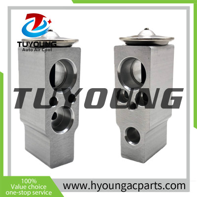 tuyoung Auto ac expansion valve Honda 80220T5A003 80220-T5A-003  80220 T5A 003