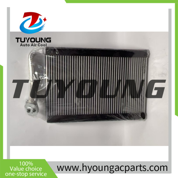TUYOUNG LHD Auto ac Evaporator Core for IVECO Power Daily size:  38*225*304mm with R12 port