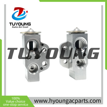 PN#1K0820679 a/c expansion valve for Audi A3 TT Seat Altea Skoda Octavia Volkswagen Caddy Golf Passat EOS