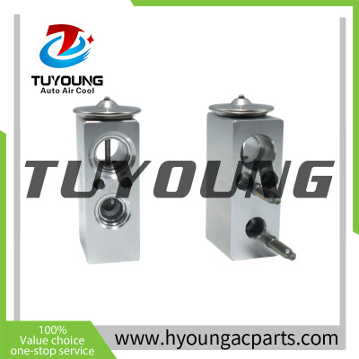 922701324R 92 27 013 24R 922700511R 922708208R Auto Air Conditioning Expansion Valve for Renault Clio