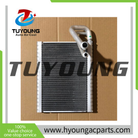 LHD Auto ac Evaporator Core for peugeot DS3 size 250*200*40 mm with expansion valve