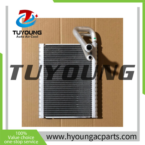 LHD Auto ac Evaporator Core for peugeot DS3 size 250*200*40 mm with expansion valve