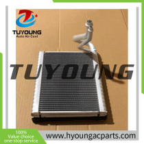 LHD Auto ac Evaporator Core for peugeot DS3 size 250*200*40 mm with expansion valve