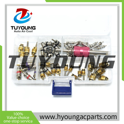 China manufacture best quality Auto A/C Valve core boxed version BOX OF SEEDS - VARIETY OF WORMS WITH EXTRACTOR 56PCS