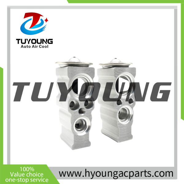VW Jetta 2.0L 2009 - 2018 Auto AC Expansion Valves TUYoung China factory supply brand new