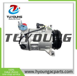DCS17EC car a/c compressor Volvo 36001462 P31315453 360114284 31315453 31366155 31390266 31418490 36001462 36011355 P31315453 36011428