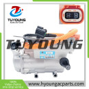 Car Electric Compressors ASSEMBLY for Great Wall Motor ORA Black Cat R1 BC28C 320V 8103100XNZ01A