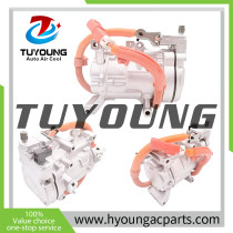 Auto A/C Compressor for Honda Odyssey Elysion ESB34C 042400-065 042400065