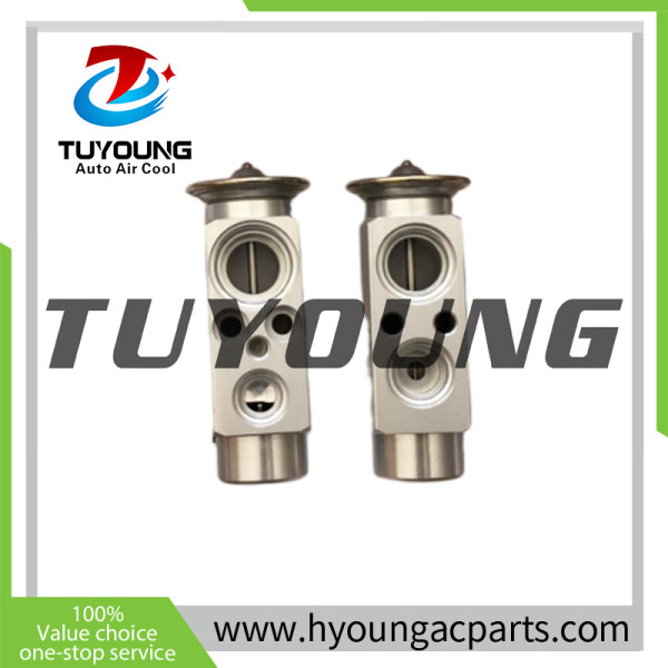 auto ac expansion valves Opel Astra valve block 1618033 1618190 0000695090 0695090 1618131 1618148 90487735 9117114 9117289 TSP0585028