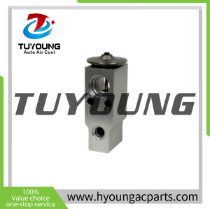 tuyoung Auto ac expansion valve Honda 80221SWA013