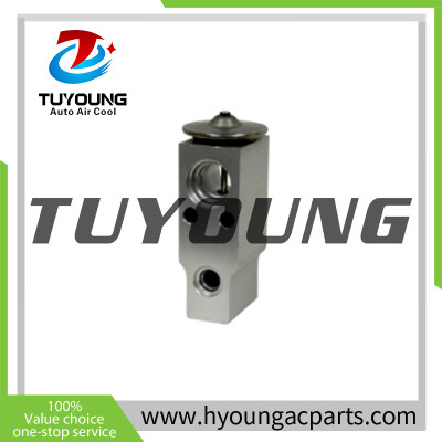 tuyoung Auto ac expansion valve Honda 80221SWA013