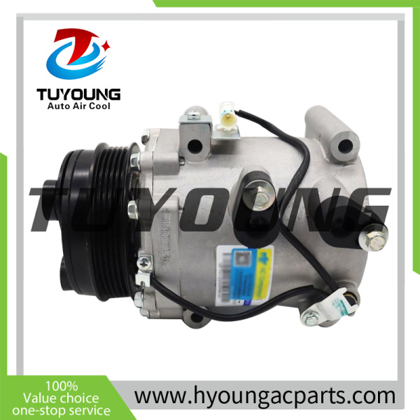 Auto A/C Compressor for Zotye 810301002