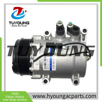 Auto AC Compressor for BYD WXH-106-BH WXH106BH 7pk