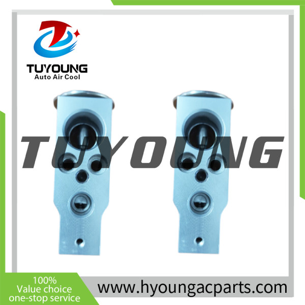 TUYOUNG brand new Auto AC Expansion Valve Hitachi