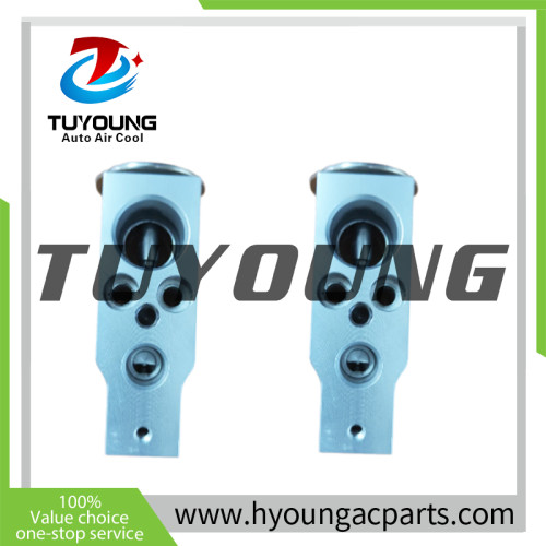TUYOUNG brand new Auto AC Expansion Valve Hitachi