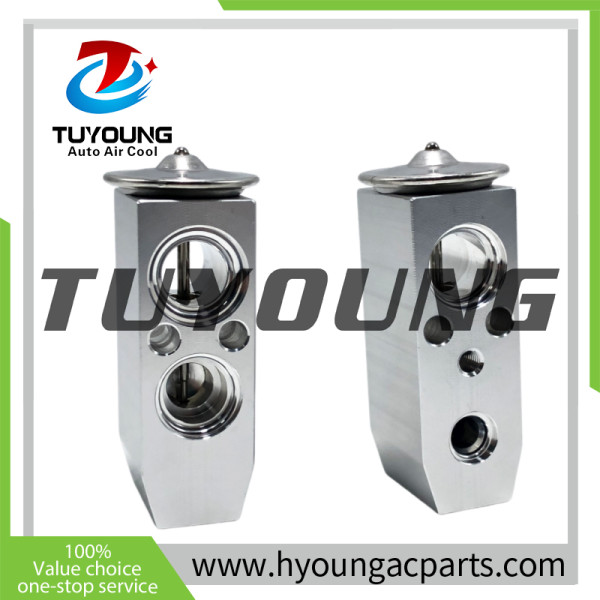 TUYOUNG brand new VOLVO excavator truck auto ac Expansion valve 14509331 VOE14509331