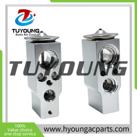 TUYOUNG brand new Auto AC Expansion Valve Hitachi