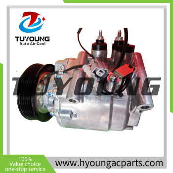 China auto ac compressor TRSA09 Honda Civic 38800-PDE-E01 38800-PDE-E010 38800-PLA-E020 38800-PLC-006 38800-PLM-A01 38810-PLA-E01 38810-PLC-006