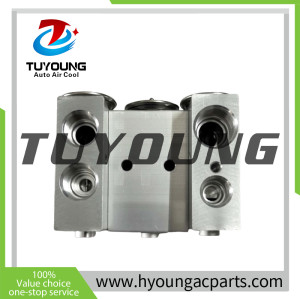 TBG 2D automotive A/C block expansion valve used in trucks, motorhomes, and heavy equipment climate control systems 320500S RV219535 RV218310 RV011154