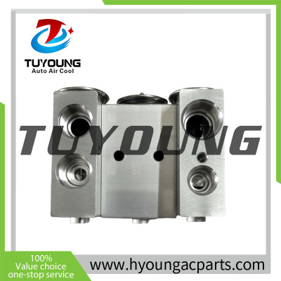 TBG 2D automotive A/C block expansion valve used in trucks, motorhomes, and heavy equipment climate control systems 320500S RV219535 RV218310 RV011154