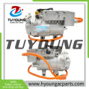 Electric Air Conditioning Compressor fit BYD Denza 461V BC28 TIG-8103010A TIG8103010A