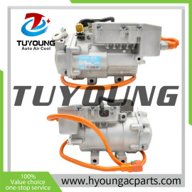 Electric Air Conditioning Compressor fit BYD Denza 461V BC28 TIG-8103010A TIG8103010A