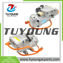 Electric Air Conditioning Compressor fit BYD Denza 461V BC28 TIG-8103010A TIG8103010A