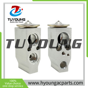 TUYOUNG sturdy and durable Auto ac Evaporator with expansion valve for Nissan Juke (F15)/Cubo/Folha 1.6L 2011-2017 272801ka0b 272801KA0B 272801FC2B