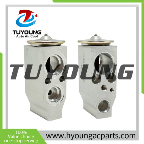 TUYOUNG sturdy and durable Auto ac Evaporator with expansion valve for Nissan Juke (F15)/Cubo/Folha 1.6L 2011-2017 272801ka0b 272801KA0B 272801FC2B